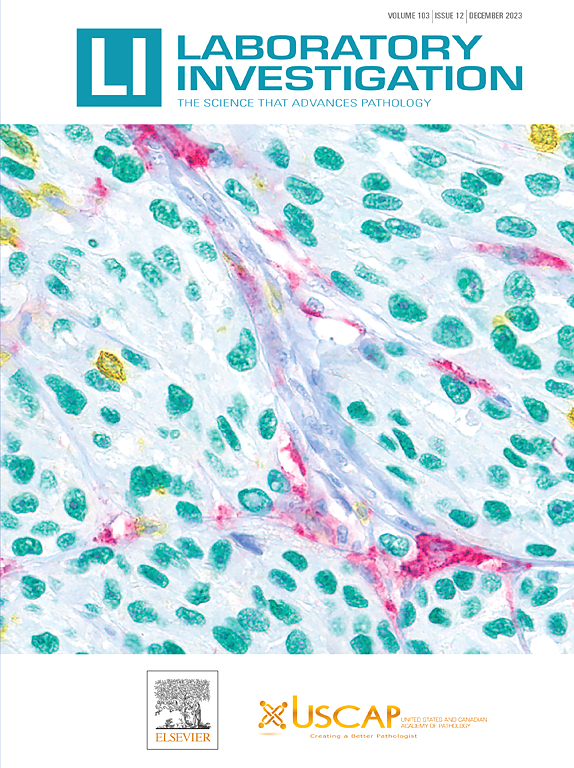 Go to journal home page - Laboratory Investigation